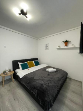 Cozy Studio Apartament Zalau